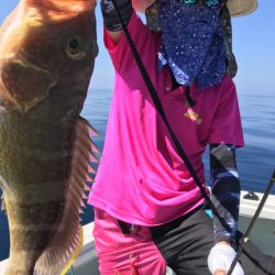 アマテラス 釣果