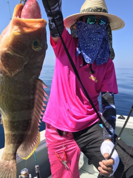 アマテラス 釣果