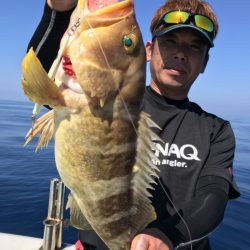 アマテラス 釣果