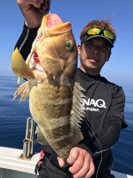 アマテラス 釣果