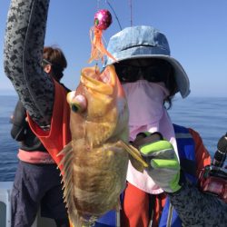 アマテラス 釣果