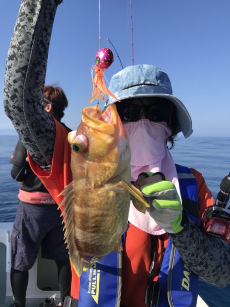 アマテラス 釣果