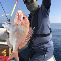 アマテラス 釣果