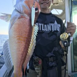 アマテラス 釣果