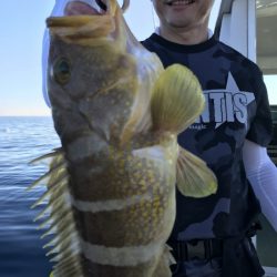 アマテラス 釣果