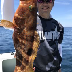 アマテラス 釣果