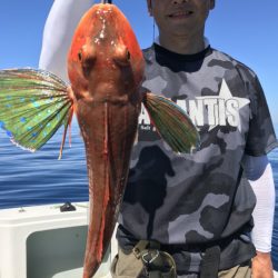 アマテラス 釣果