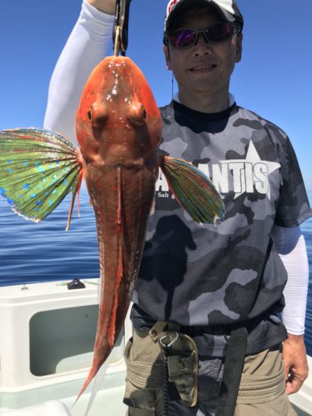 アマテラス 釣果