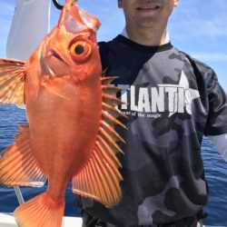 アマテラス 釣果