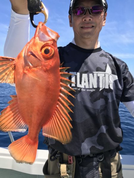 アマテラス 釣果