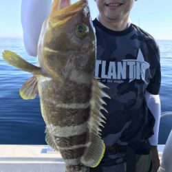 アマテラス 釣果