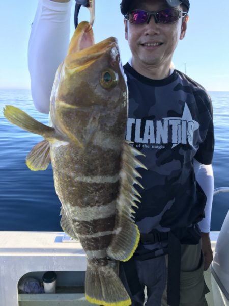 アマテラス 釣果