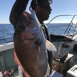 アマテラス 釣果