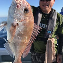 アマテラス 釣果