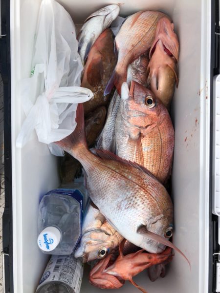 豊和丸 釣果