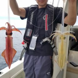 ソルトウォーターガイドフレンズ 釣果