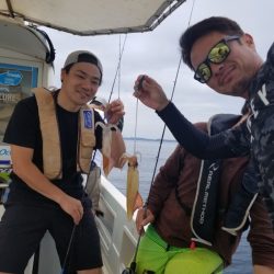 ソルトウォーターガイドフレンズ 釣果