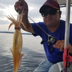 ソルトウォーターガイドフレンズ 釣果