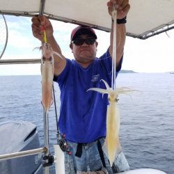 ソルトウォーターガイドフレンズ 釣果