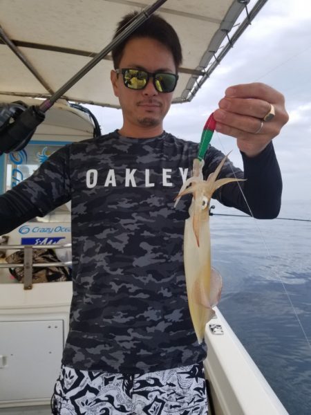 ソルトウォーターガイドフレンズ 釣果