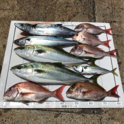 Monster Rush! 釣果