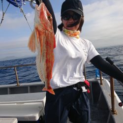 ありもと丸 釣果