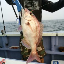 新幸丸 釣果