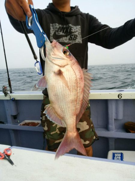 新幸丸 釣果