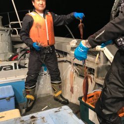 シーランチ 釣果