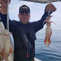 ソルトウォーターガイドフレンズ 釣果