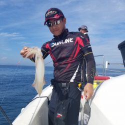 ソルトウォーターガイドフレンズ 釣果