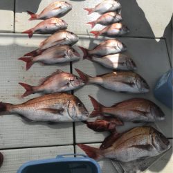 遊漁船メテオ 釣果