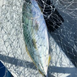 あみや渡船 JIGBOY 釣果