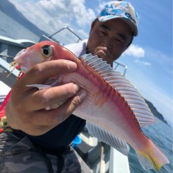 あみや渡船 JIGBOY 釣果