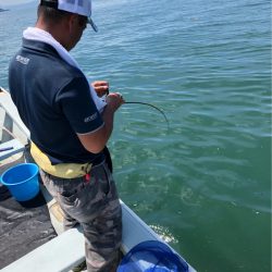 あみや渡船 JIGBOY 釣果