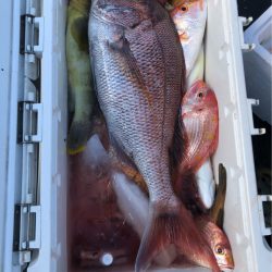 あみや渡船 JIGBOY 釣果