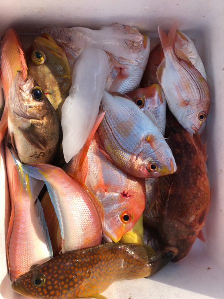 あみや渡船 JIGBOY 釣果