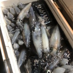 ＴＡＲＯＭＡＲＵ 釣果