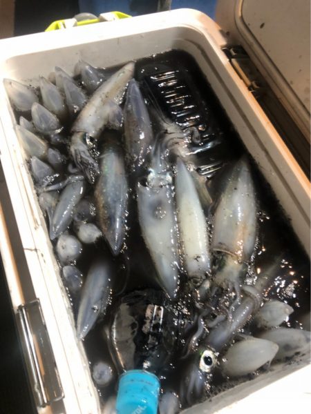 ＴＡＲＯＭＡＲＵ 釣果