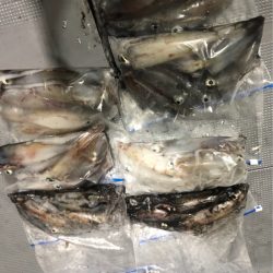 ＴＡＲＯＭＡＲＵ 釣果