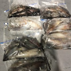 ＴＡＲＯＭＡＲＵ 釣果