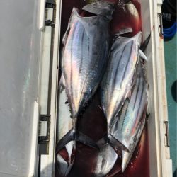 丸万釣船 釣果