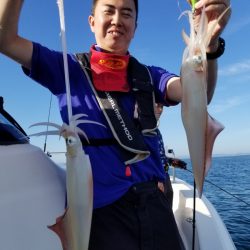 ソルトウォーターガイドフレンズ 釣果