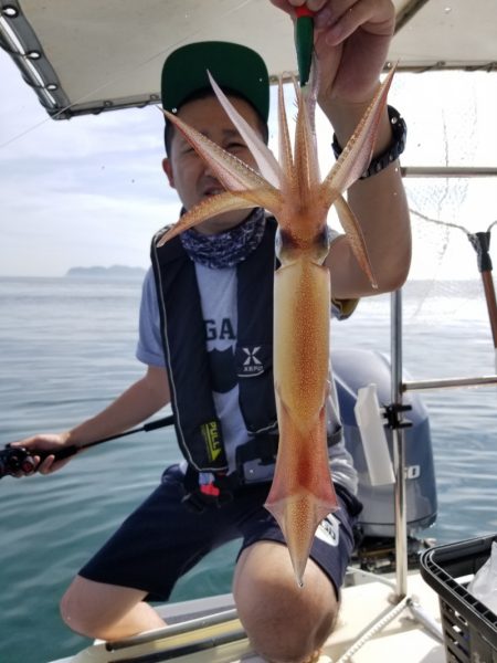 ソルトウォーターガイドフレンズ 釣果