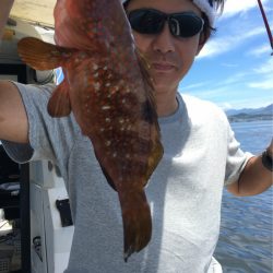 末広丸(熊本) 釣果