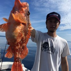 エヌスタイル 釣果