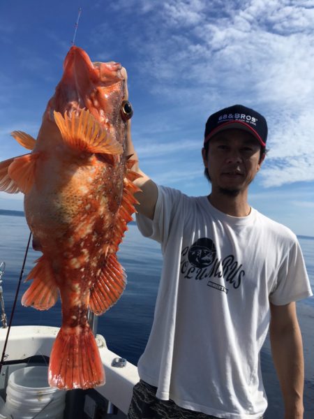 エヌスタイル 釣果