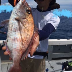 エヌスタイル 釣果