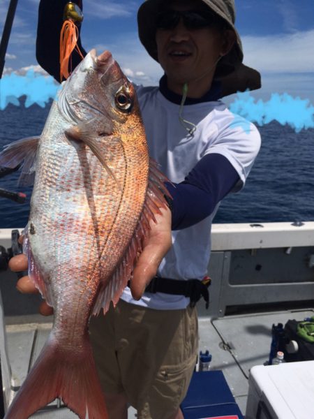 エヌスタイル 釣果