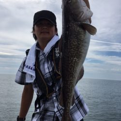 エヌスタイル 釣果